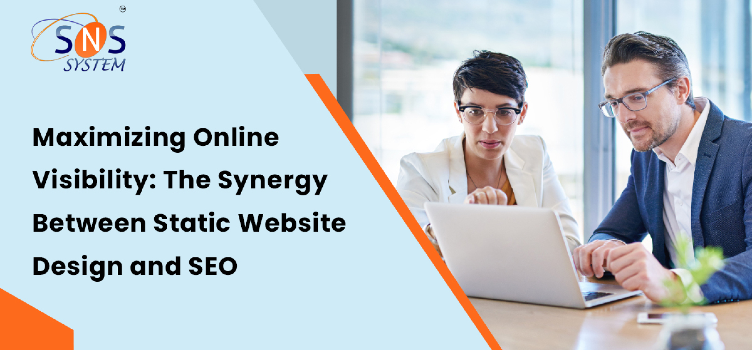 Professional Website Design Solutions | SNS System