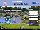 Web Hosting Services