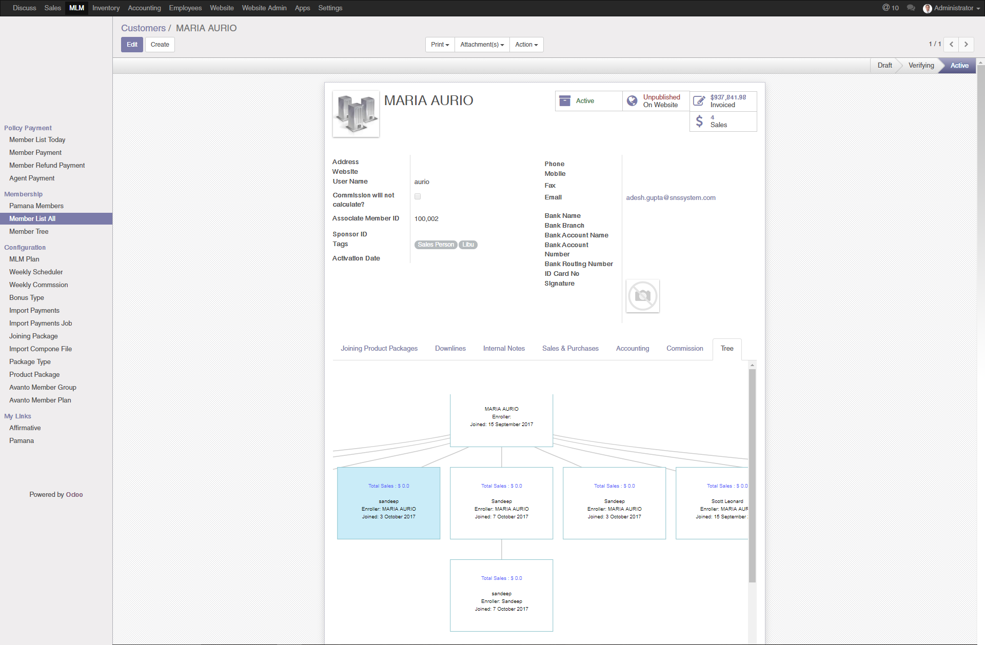 tree view structure as well as income detail with invoice