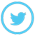 Twitter Icon