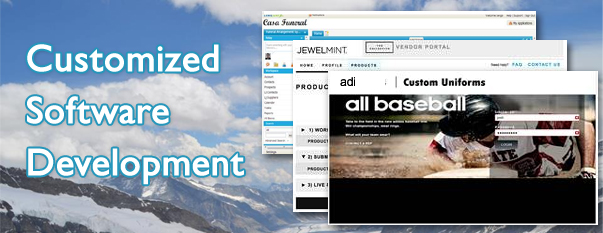 snssystem.com-Customized software development