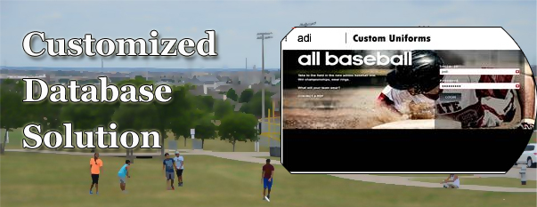 snssystem.com-Customized database solution